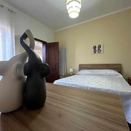 Elephant's * Katania