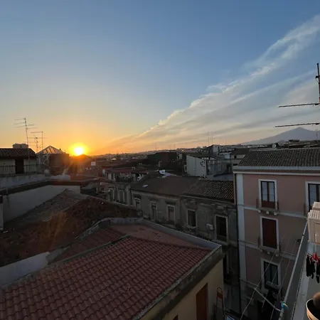 Elephant's * Katania