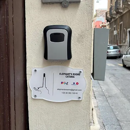 Elephant's * Katania