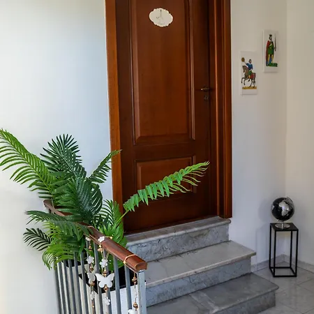 Elephant's * Катания