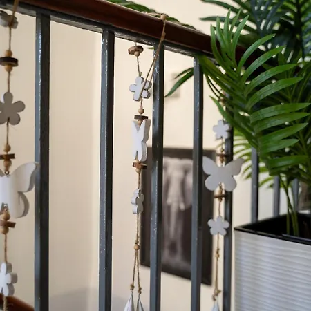 Elephant's Катания